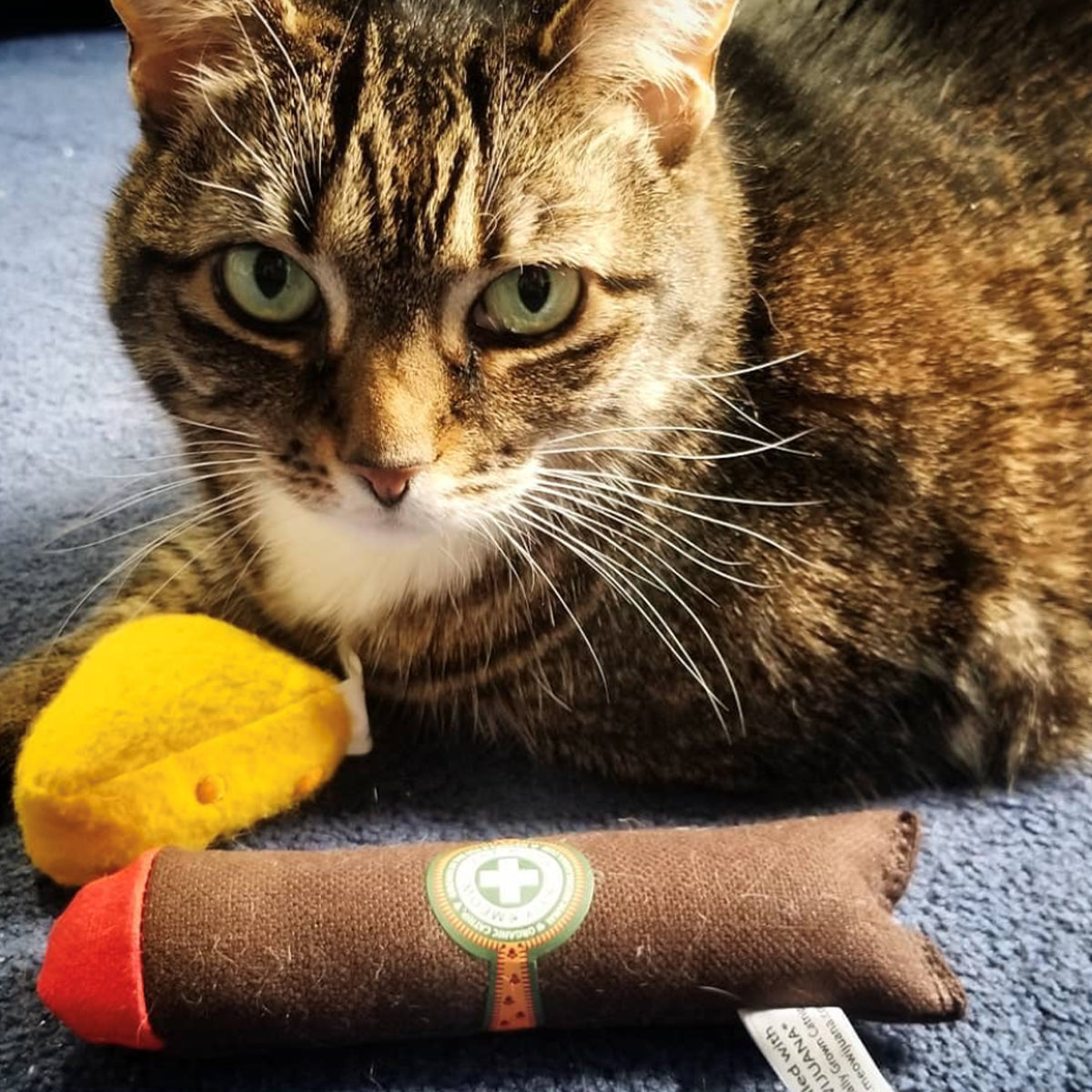 
                  
                    Meowijuana - Catnip Cigar
                  
                