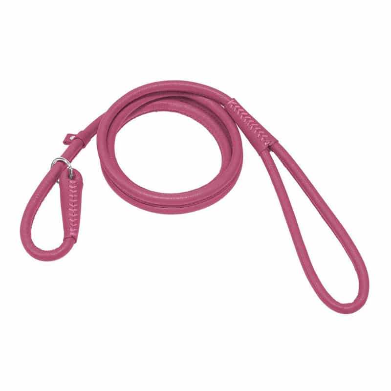 
                  
                    DOGLINE - Soft Round Leather Slip Lead
                  
                