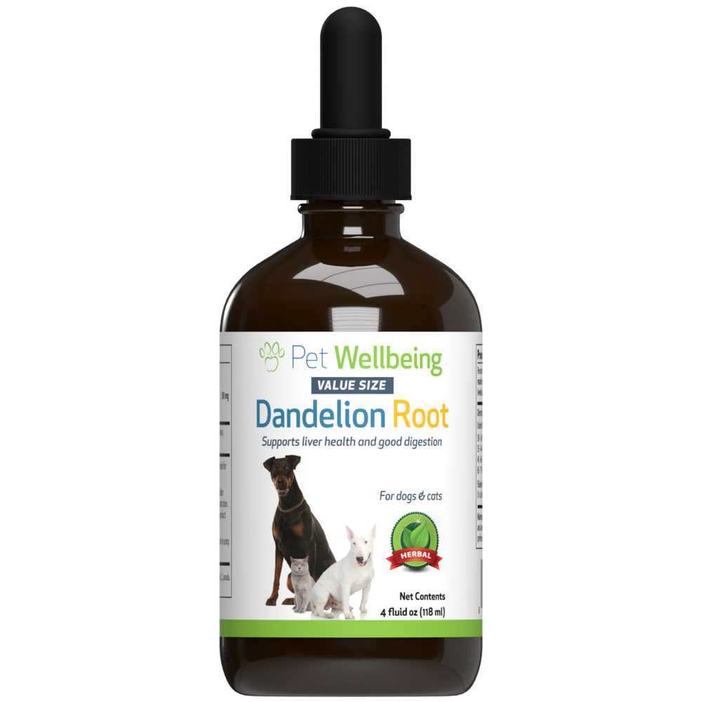 Dandelion Root - Digestive & Liver Support for Cats