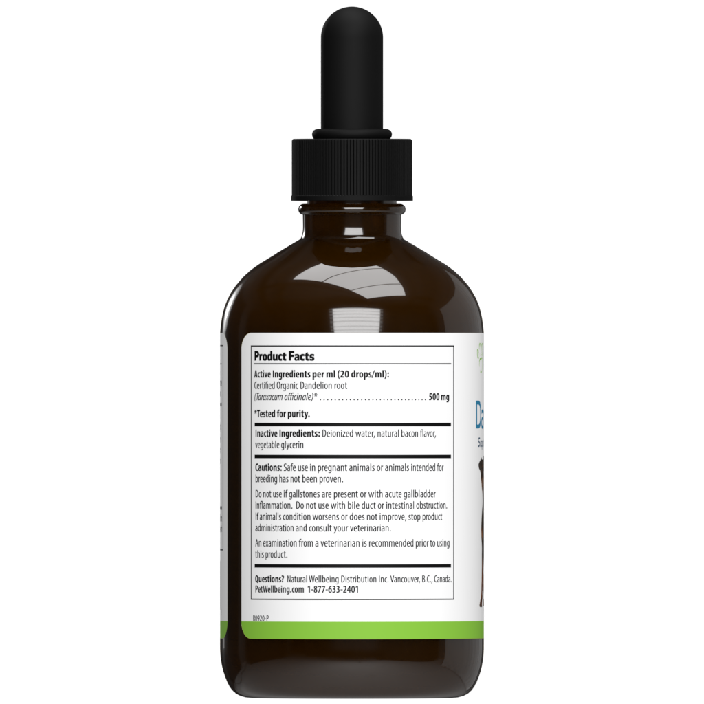 
                  
                    Dandelion Root - Digestive & Liver Support for Dogs
                  
                