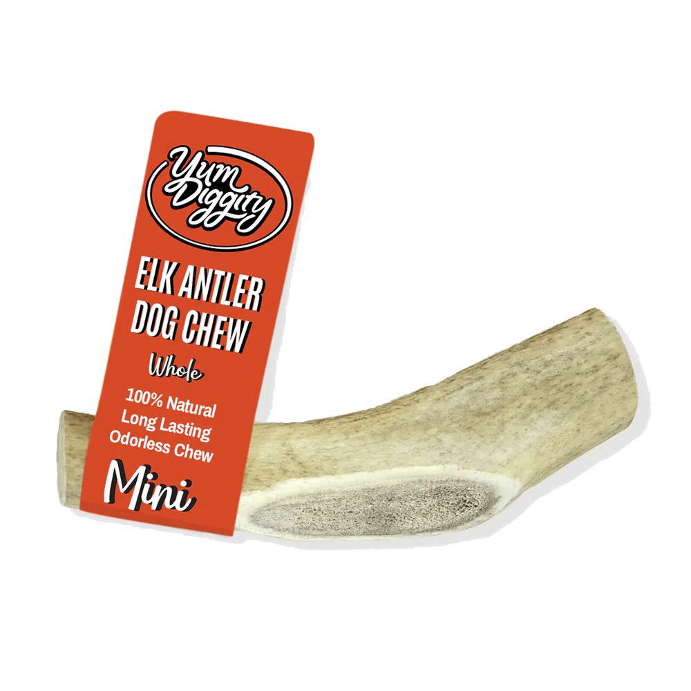 Yum Diggity - Whole Elk Antler Chew