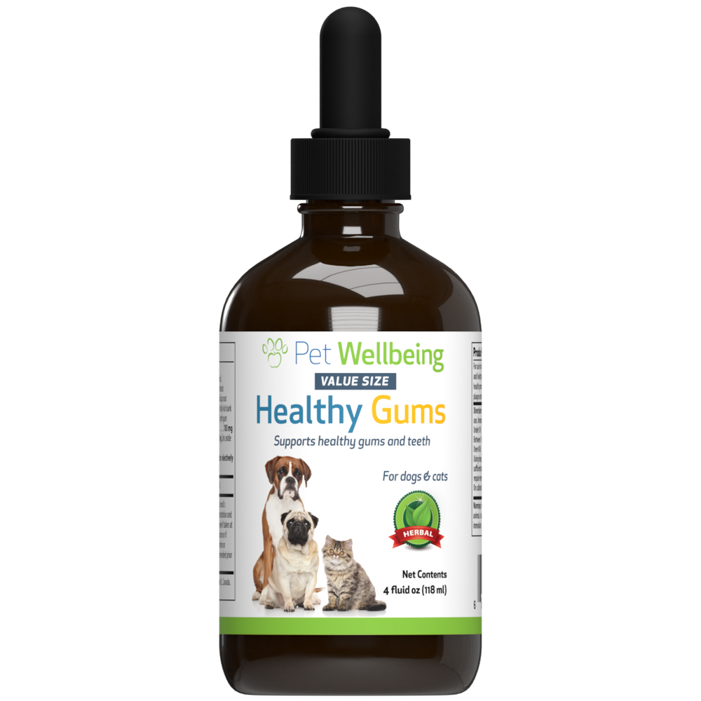 Healthy Gums - for Feline Periodontal Health