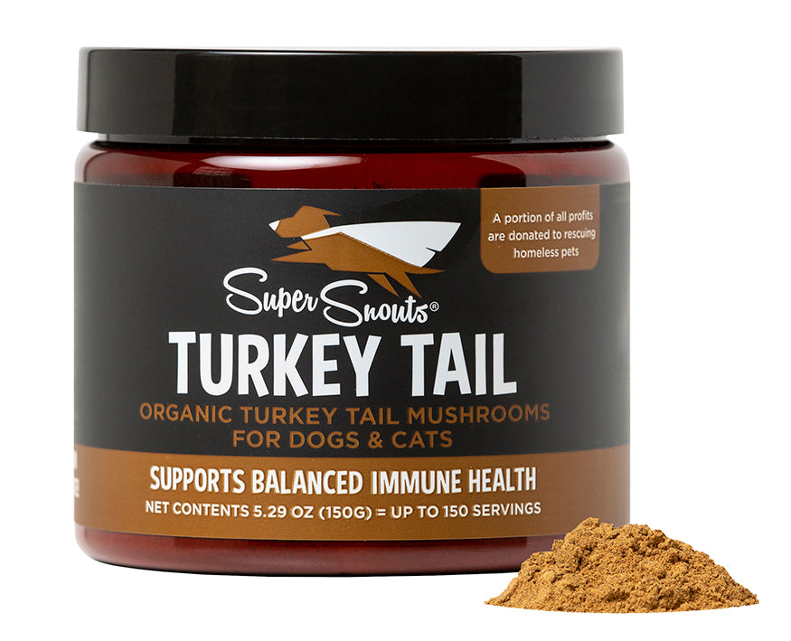 Super Snouts - Turkey Tail Mushroom Supplement