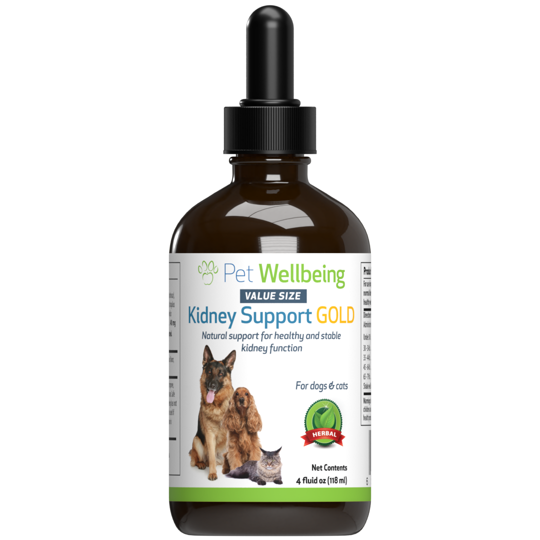 Kidney Support Gold - for Cat Kidney Function