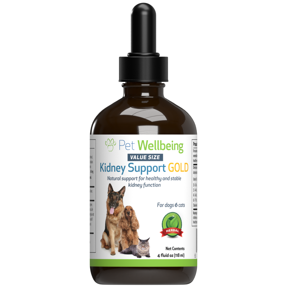 Kidney Support Gold - for Cat Kidney Function