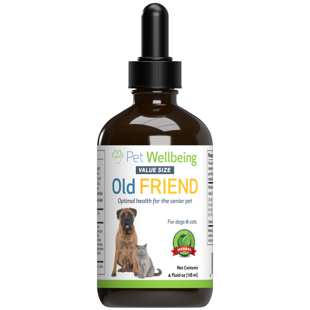 Old Friend - for Senior Cats
