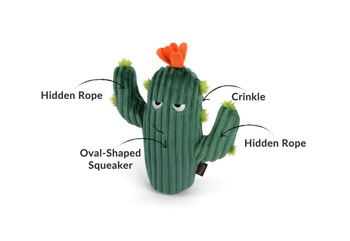 
                  
                    PLAY - Blooming Buddies - Prickly Pup Cactus
                  
                