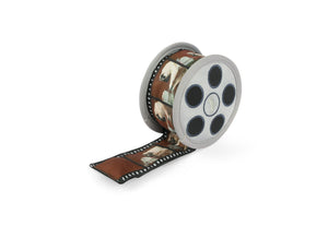 
                  
                    PLAY Hollywoof Cinema Collection - Momo's Movie Reel
                  
                