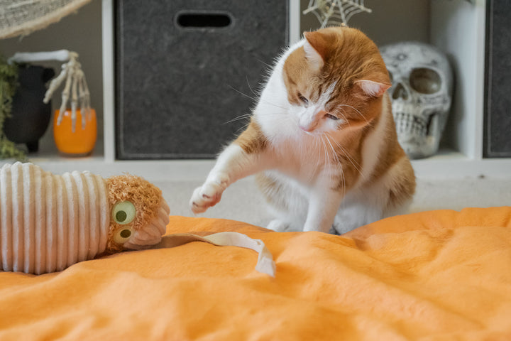 
                  
                    PLAY - Catnip - Toy - Feline Frenzy - Kicker - Halloween - Mummy
                  
                
