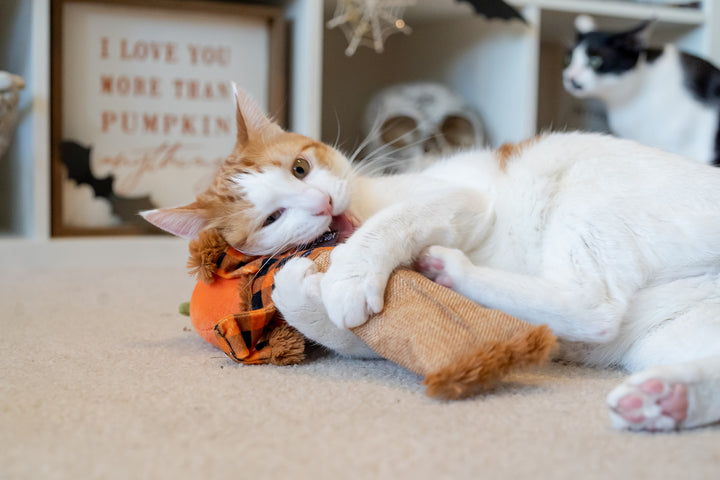 
                  
                    PLAY - Catnip - Toy -Feline Frenzy - Catnip Kicker - Halloween - Scarecrow
                  
                