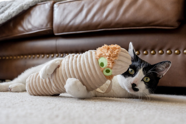 
                  
                    PLAY - Catnip - Toy - Feline Frenzy - Kicker - Halloween - Mummy
                  
                