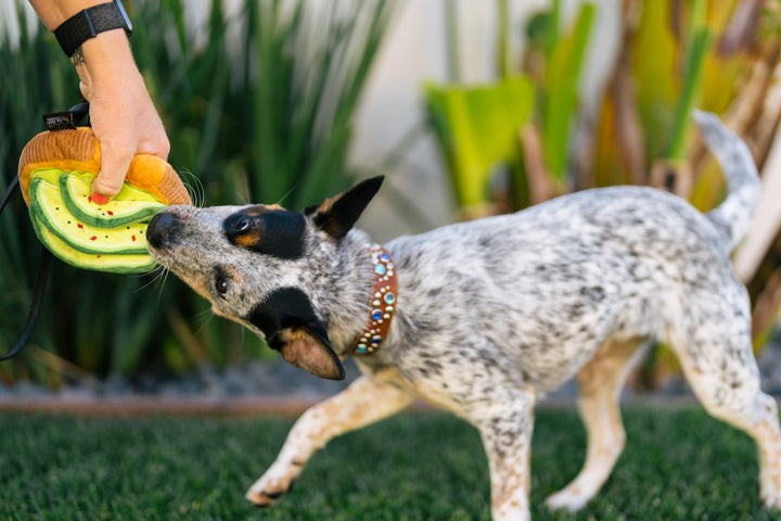 
                  
                    Barking Brunch - Avo-doggo Toast
                  
                