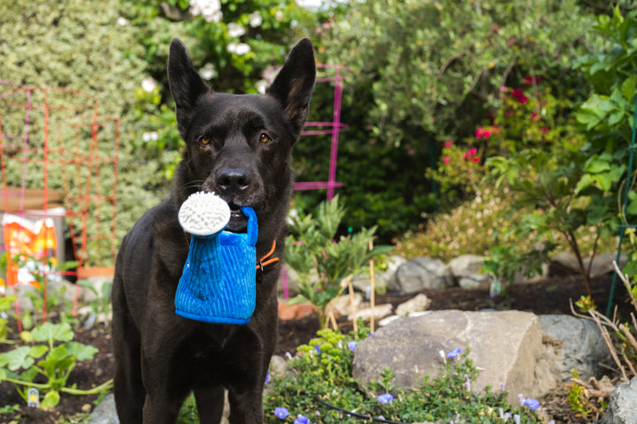 
                  
                    PLAY - Blooming Buddies - Wagging Watering Can
                  
                