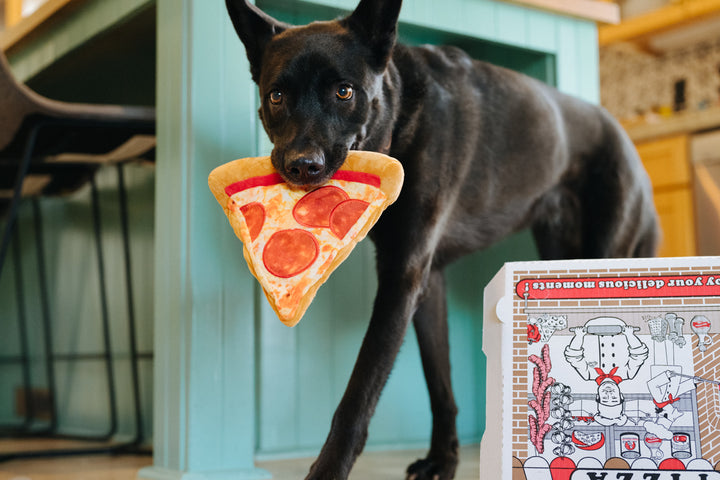 
                  
                    PLAY - Snack Attack - Puppy-roni Pizza
                  
                