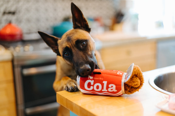 
                  
                    PLAY - Snack Attack - Good Boy Cola
                  
                