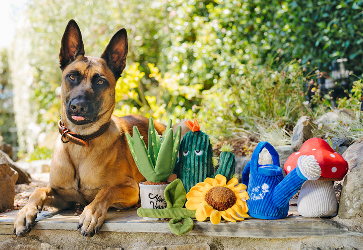 
                  
                    PLAY - Blooming Buddies - Wagging Watering Can
                  
                