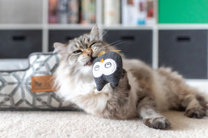 
                  
                    PLAY Feline Frenzy - Cat Toy - Owls
                  
                