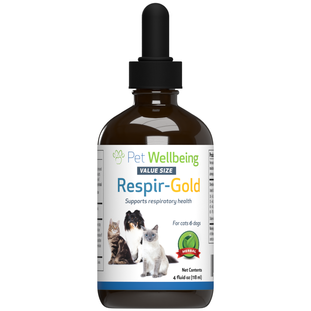
                  
                    Respir-Gold - for Easy Breathing in Cats
                  
                