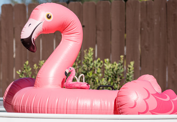 
                  
                    PLAY - Tropical Paradise - Flamingo Float
                  
                