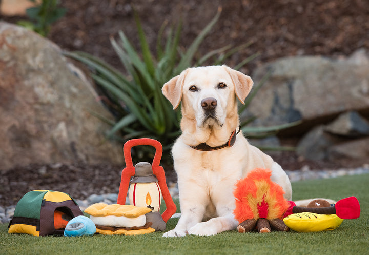 
                  
                    Camp Corbin Collection - K9 Kayak
                  
                