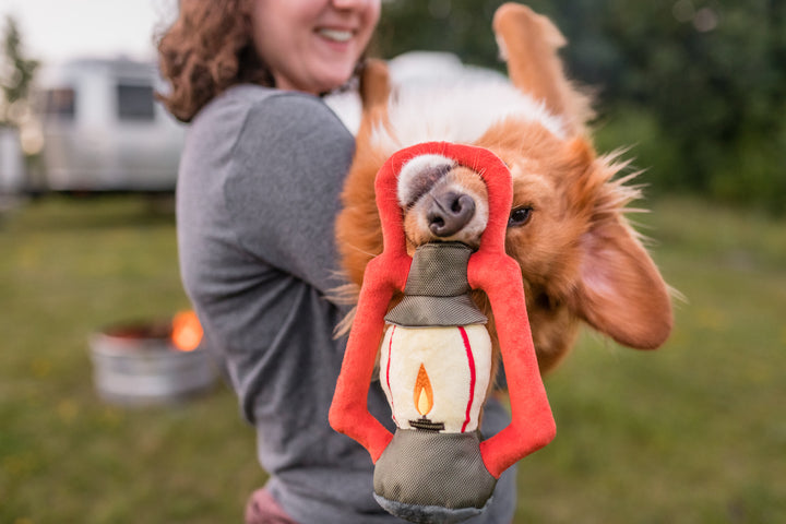 
                  
                    Camp Corbin Collection - Pack Leader Lantern
                  
                