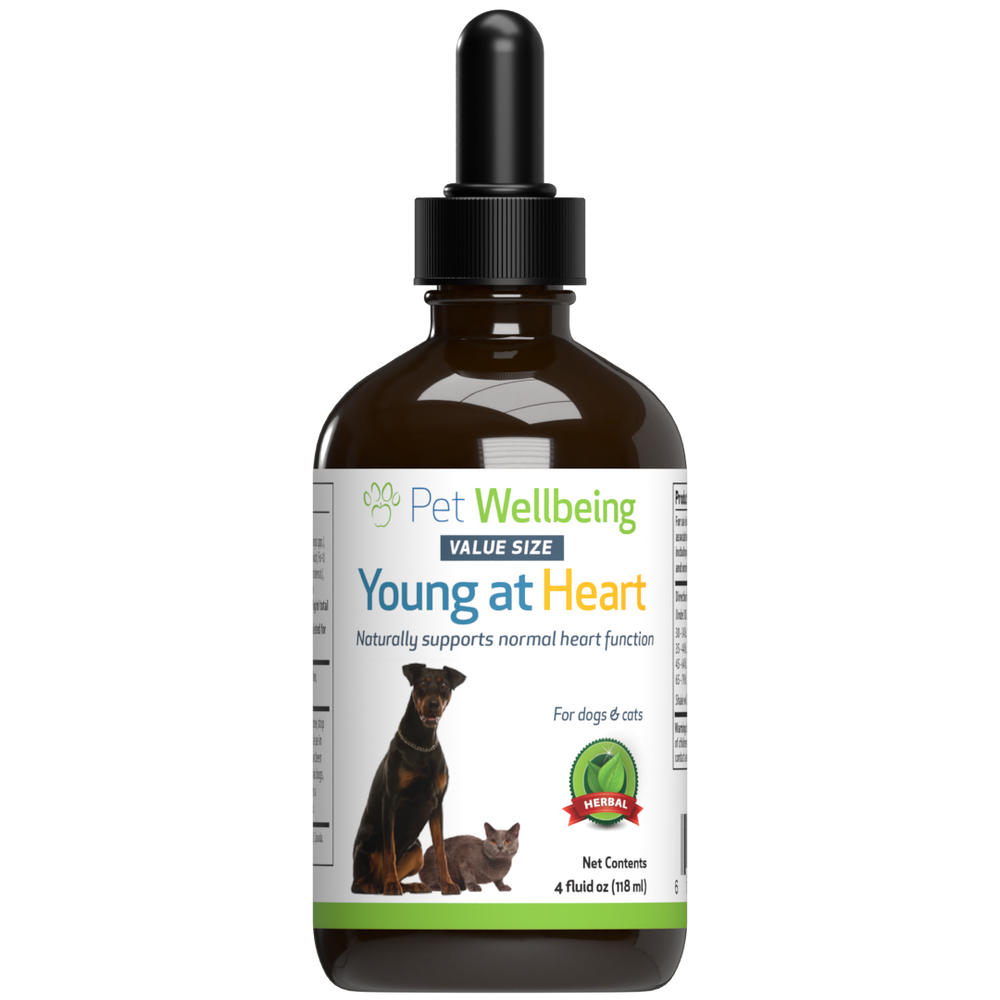 Young at Heart - for Healthy Heart Maintenance in Cats