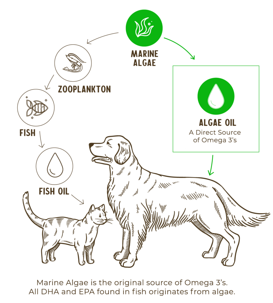 
                  
                    Grizzly - Algal Plus Omega Oil
                  
                