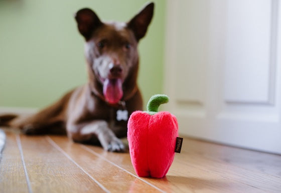 
                  
                    PLAY - Garden Fresh Collection - Farm Fresh - Bell Pepper
                  
                