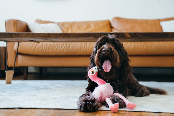 
                  
                    PLAY - Fetching Flock Collection - Flamingo
                  
                