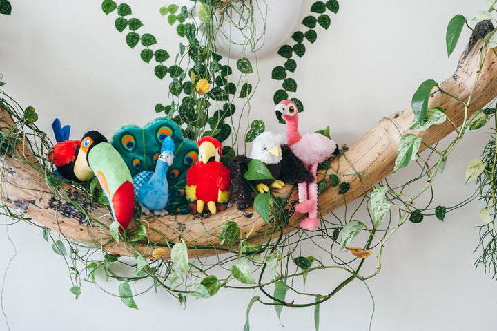 
                  
                    PLAY - Fetching Flock Collection - Parrot
                  
                
