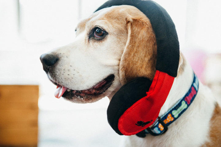 
                  
                    PLAY - Globetrotter Collection - Headphone
                  
                