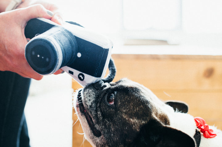 PLAY - Globetrotter Collection - Camera