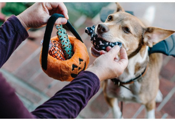 
                  
                    PLAY - Halloween - Basket & Candies
                  
                