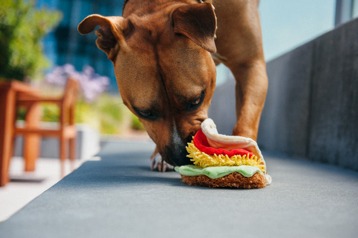 
                  
                    PLAY - International Classic Collection - Taco
                  
                
