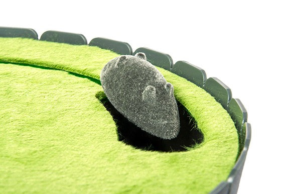 PLAY - Peek-A-Boo Cat Interactive Toy