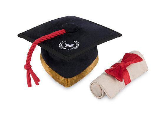 Back To School -Grad Hat & Scroll
