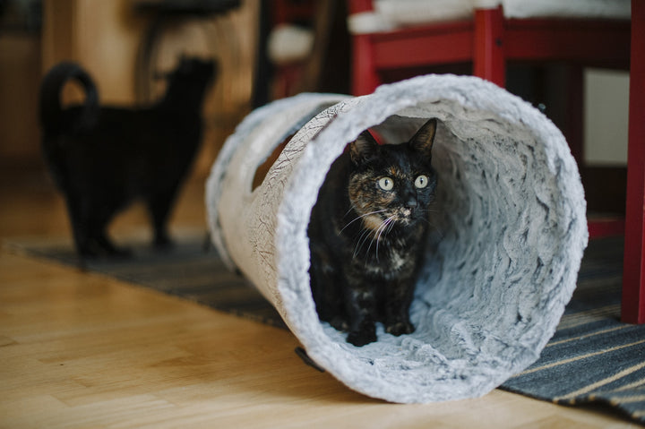 
                  
                    Cat - Tunnel Savannah - Brown
                  
                