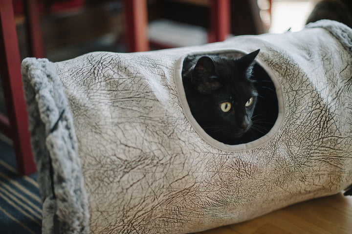 
                  
                    Cat - Tunnel Savannah - Brown
                  
                