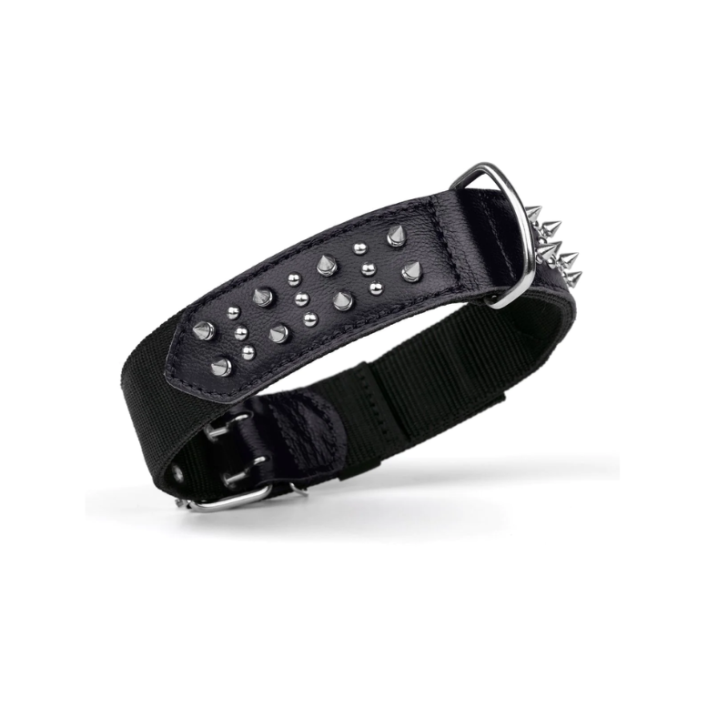 DOGLINE -  Leather/Nylon Collar with Spikes (Black) - 3/4