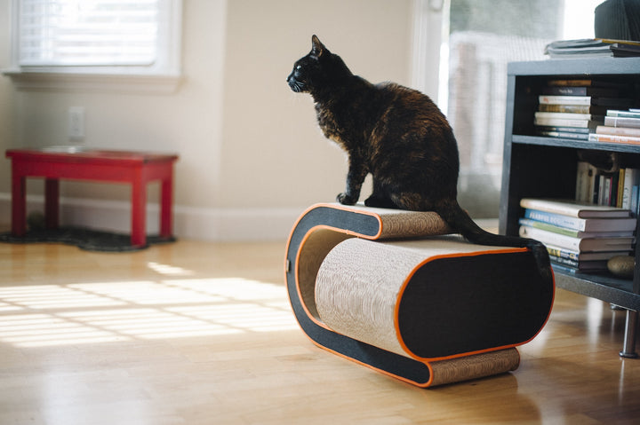 Cat - Scratcher The Arty Denim - Chocolate