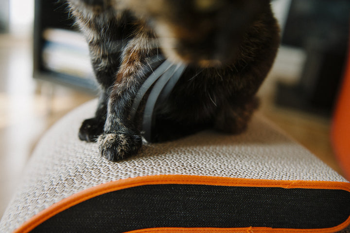 
                  
                    Cat - Scratcher The Arty Denim - Chocolate
                  
                