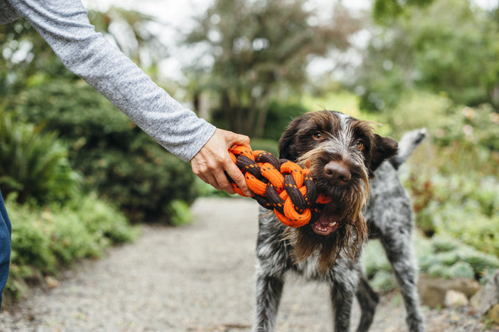 
                  
                    PLAY - Rope Toy - Honeycomb
                  
                