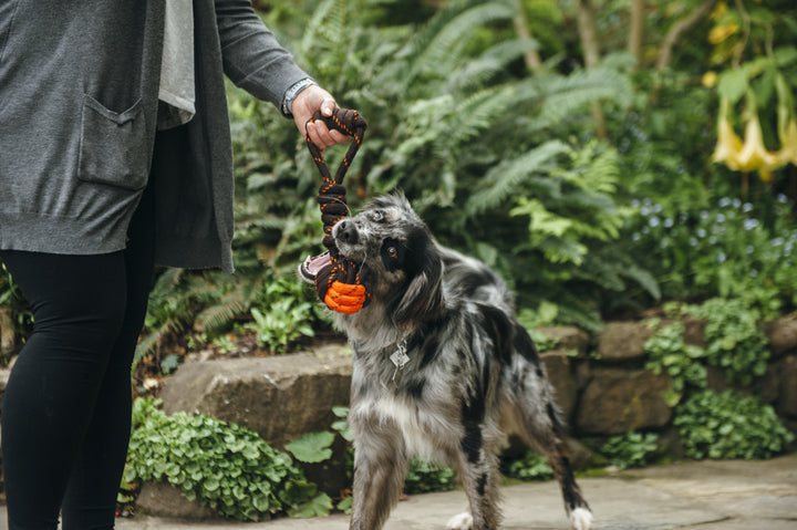 
                  
                    PLAY - Rope Toy - Tug Bal
                  
                