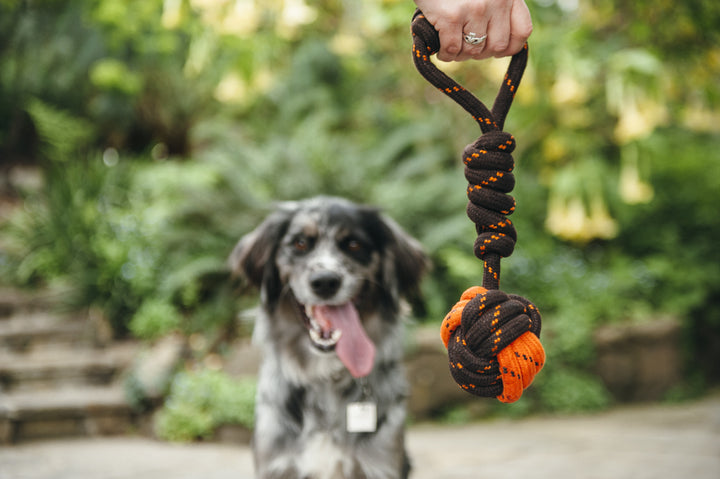 
                  
                    PLAY - Rope Toy - Tug Bal
                  
                