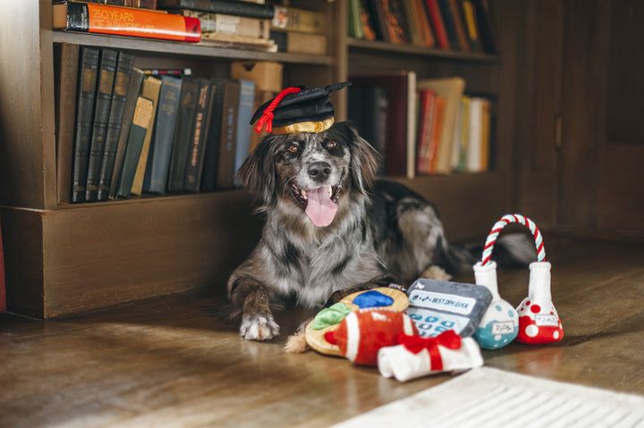 
                  
                    Back To School -Grad Hat & Scroll
                  
                