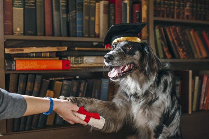 
                  
                    Back To School -Grad Hat & Scroll
                  
                