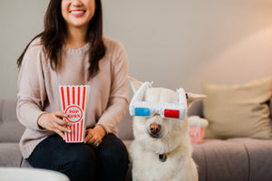 
                  
                    PLAY Hollywoof Cinema Collection - 3-Dog Glasses
                  
                