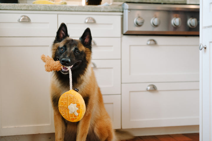 
                  
                    Barking Brunch - Chicken & Woofles
                  
                