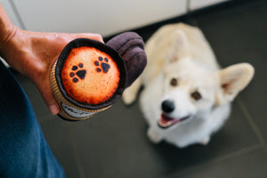 
                  
                    PLAY - Pup Cup Café - Latte To Go
                  
                