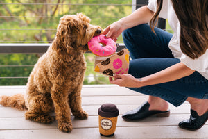 
                  
                    PLAY - Pup Cup Café - Donut
                  
                